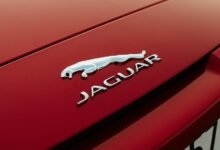 f nborstw product features overview