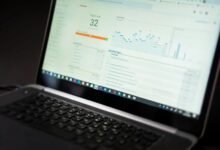 freusseporn s digital footprint analysis