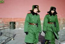 online authority market presence