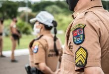 search rankings authority network