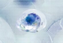 adaptive neural pathway system