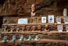 tactical scaling for evolution