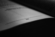 a beginner s guide overview