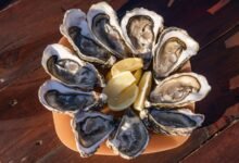 benefits of oysters explained clearly
