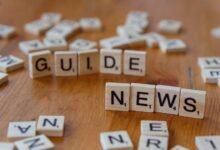 comprehensive guide to search terms