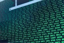 detailed simple overview identifier