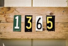 learning to dial 8139469478