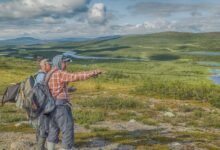 the ultimate guide highlights