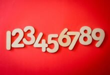ultimate guide to 7196357321