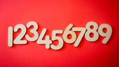 ultimate guide to 7196357321
